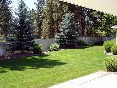 16 E Falcon, Spokane, WA 99218 photo 6