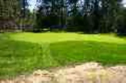 14708 Eistrup Rd, Elk, WA 99009 photo 5