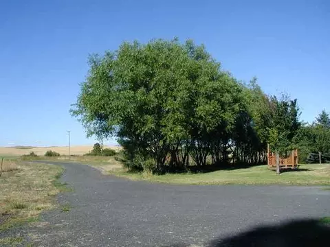 3625 W Cheney-spangle Rd, Spangle, WA 99031 photo 2