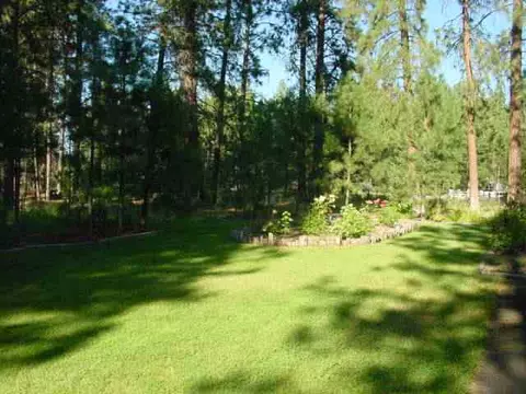 4617 E Silver Pnes, Colbert, WA 99005 photo 8