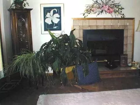 12919 E 12th, Spokane Valley, WA 99216 photo 3