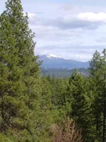 22802 N Crescent Rd, Colbert, WA 99005 photo 9