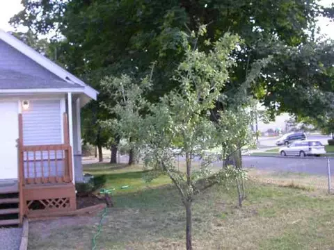 2303 E 6th, Spokane, WA 99202 photo 3