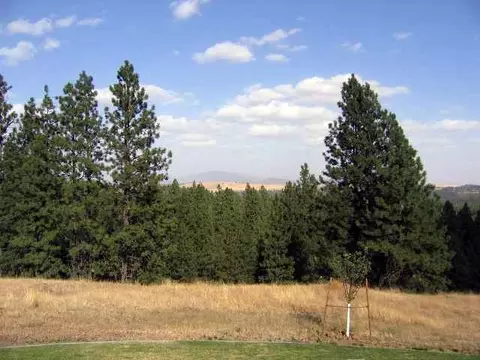 1323 Estates Rd, Spokane, WA 99224 photo 4