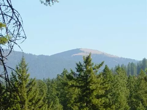 22013 N Greenbluff Cir, Colbert, WA 99005 photo 3