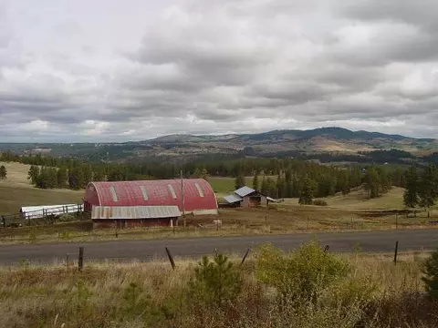 15105 S Stentz Rd, Spangle, WA 99031 photo 2
