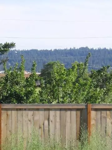3124 E Fairview, Spokane, WA 99217 photo 3