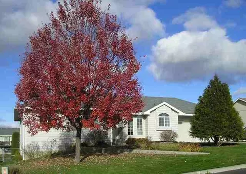 503 E Westcrest, Colbert, WA 99005 photo 1
