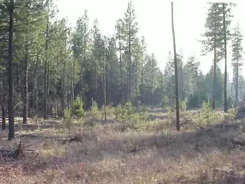 23016 N Crescent Rd, Colbert, WA 99005 photo 2