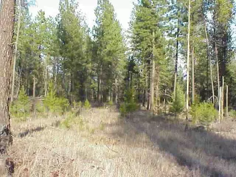 23016 N Crescent Rd, Colbert, WA 99005 photo 1