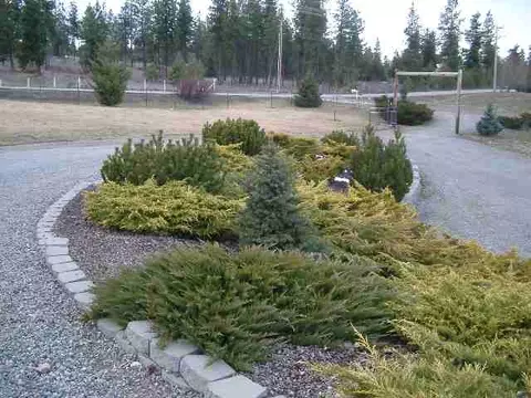 22 E Gem, Colbert, WA 99005 photo 3