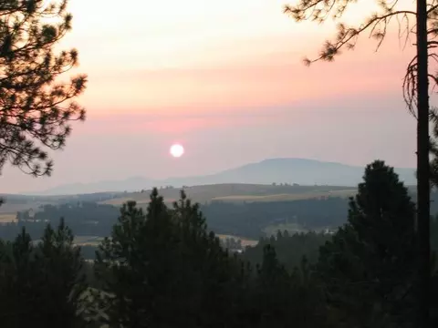 1317 E Miller Rd, Spangle, WA 99031 photo 9