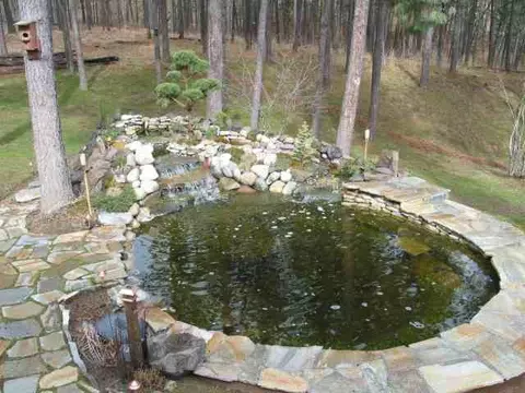 1317 E Miller Rd, Spangle, WA 99031 photo 3
