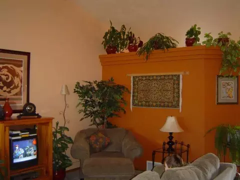 422 E Trevor Rd, Colbert, WA 99005 photo 2