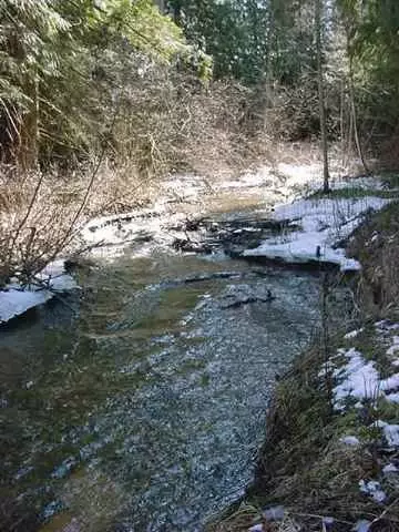 82 Devils Dr, Cusick, WA 99119 photo 4