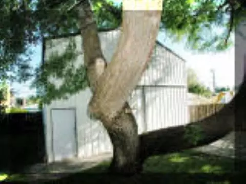 2223 E Central, Spokane, WA 99208 photo 2