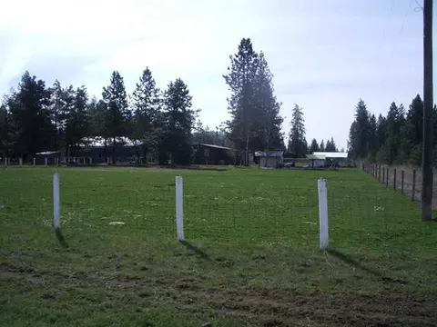 4612 E Woolard, Colbert, WA 99005 photo 7