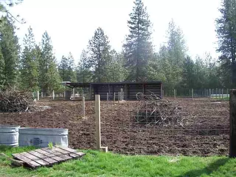 4612 E Woolard, Colbert, WA 99005 photo 8