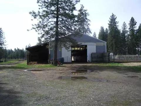 4612 E Woolard, Colbert, WA 99005 photo 5