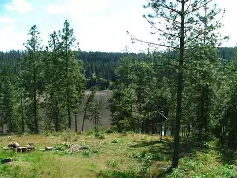 1910 E Pine Hl, Spokane, WA 99224 photo 8