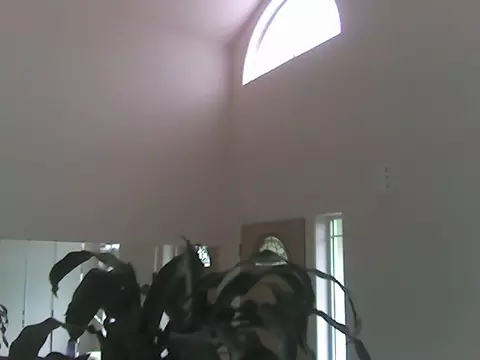 4237 E 28th Ave, Spokane, WA 99223 photo 3