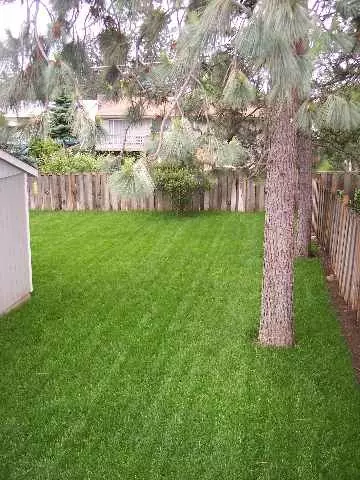 1208 E 34th, Spokane, WA 99203 photo 2