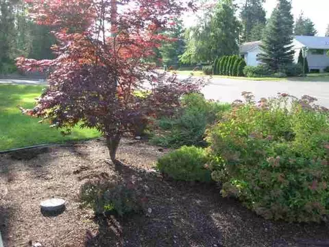 9819 E 8th Ave, Spokane Valley, WA 99206 photo 3