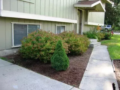 9819 E 8th Ave, Spokane Valley, WA 99206 photo 5