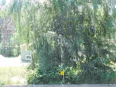 1607 W Marc, Spokane, WA 99218 photo 3