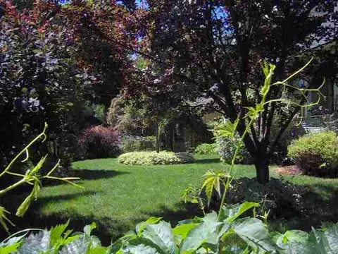 944 E 17th, Spokane, WA 99203 photo 9