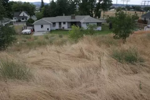 4505 E Frederick, Spokane, WA 99217 photo 9