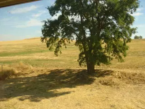 410 E 5th St, Spangle, WA 99031 photo 9
