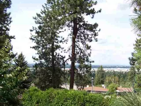 3727 E 17th Ave, Spokane, WA 99223 photo 8