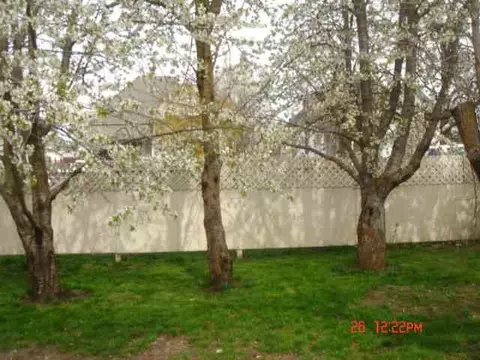 3524 E Broad, Spokane, WA 99217 photo 5