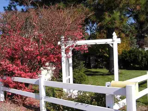 4109 Emerald, Mead, WA 99021 photo 7