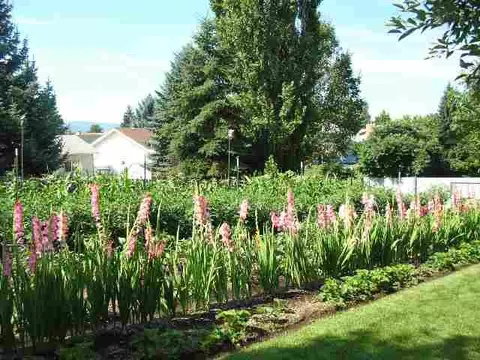 11312 E Frederick St, Spokane, WA 99206 photo 9