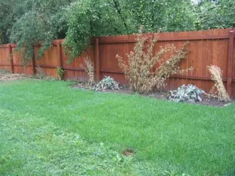 955 E 13th Ave, Spokane, WA 99202 photo 4