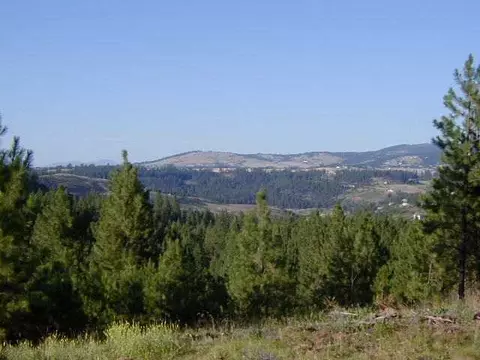 1005 E Silver Fox Ln, Spokane, WA 99224 photo 9