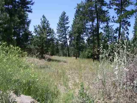 511 E Wildrose, Colbert, WA 99005 photo 3