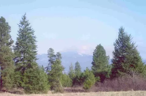 511 E Wildrose, Colbert, WA 99005 photo 2