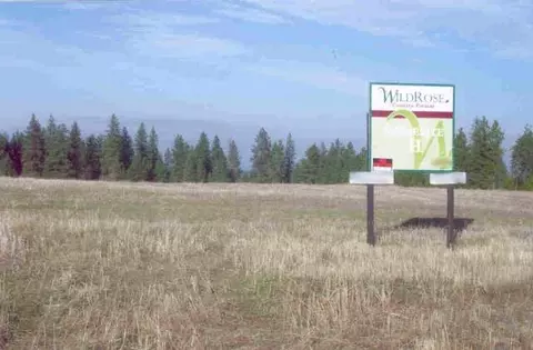 511 E Wildrose, Colbert, WA 99005 photo 4