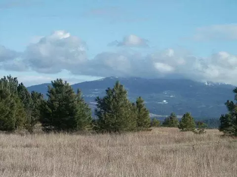 511 E Wildrose, Colbert, WA 99005 photo 1