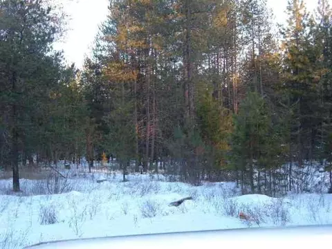 4411 E Oregon, Elk, WA 99009 photo 6