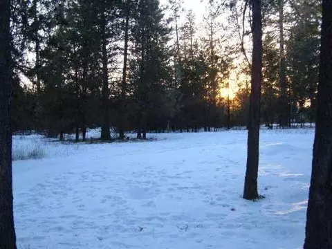4411 E Oregon, Elk, WA 99009 photo 1