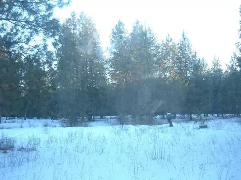 4411 E Oregon, Elk, WA 99009 photo 7