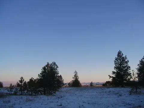 21107 S Spangle Creek Rd, Spangle, WA 99031 photo 3