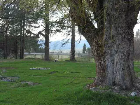 113 5th Ave, Cusick, WA 99119 photo 9