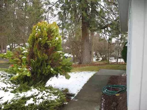 3124 E 16th, Spokane, WA 99223 photo 9