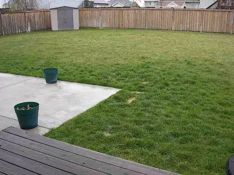 416 E Ballard Rd, Colbert, WA 99005 photo 8