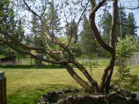9912 E 4th, Spokane, WA 99206 photo 8